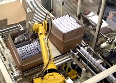 End of line case packing robot with conveyor