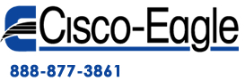 Cisco Eagle Logo