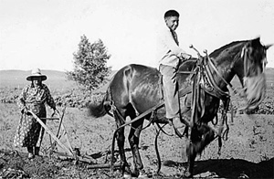 1941 - Plowing a field
