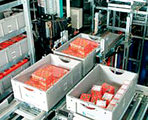 Totes in a mini load as rs system