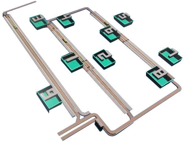 automated conveyor with inline labeling system