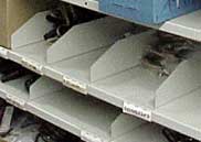 shelving dividers