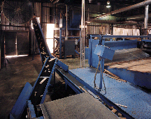 wood boards on conveyors at Selma Oak facility