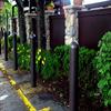 Brown bollards and plants at the edge of a parking lot in front of a fence