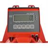 Scale Monitor
