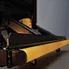 E-stop Bumper