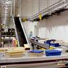 Tote takeaway incline conveyor in a shipping department.