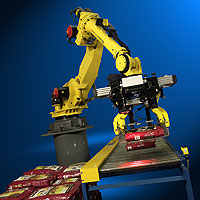 robotic palletizing and depalletizing