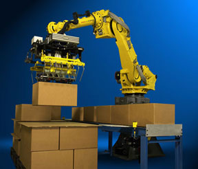 Houston Palletizing Robots
