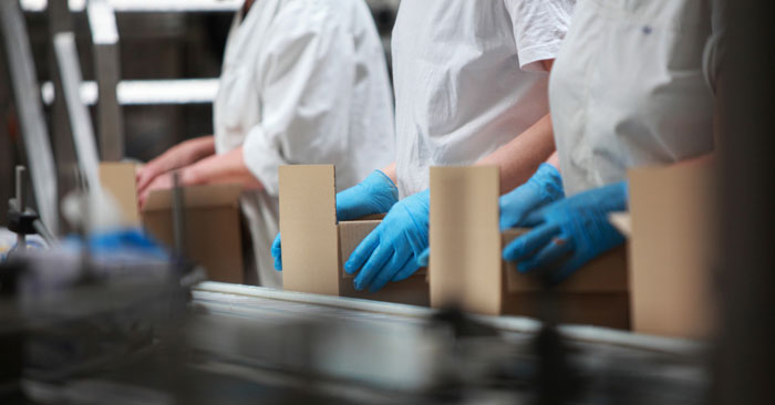 workers wearing latex gloves holding boxes at a conveyor line