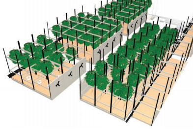 mobile aisle cannabis growth shelving