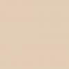 Beige Color Chip