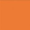 Orange Color Chip