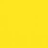 Yellow Color Chip