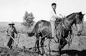 1941 - Plowing a field