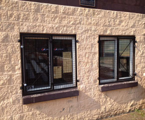 Two exterior windows with protective wire panels