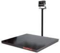 RoughDeck Floor Scale & 480 Legend LED Indicator AC (115vac) - 4'W x 4'L x 3-1/4"H, 5,000 lbs Cap.