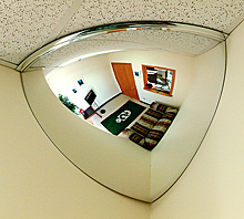 Quarter Dome Mirror - 32" dia.