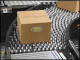 Gravity Skatewheel Conveyor Spurs