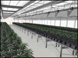 Modular Grow Rooms