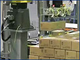 Fanuc Robotic Palletizer