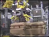 Fanuc Robot Palletizing Bags