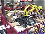 Robot Palletizing Various Sizes