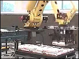 Robotic Bag Palletizer Systems