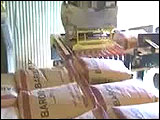 Robots Palletizing Bags